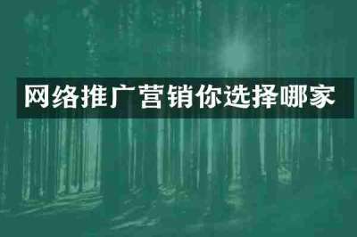 网络推广营销你选择哪家