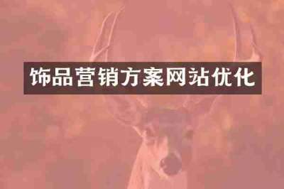 饰品营销方案网站优化