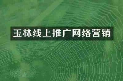 玉林线上推广网络营销