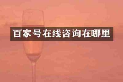 百家号在线咨询在哪里