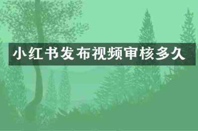 小红书发布视频审核多久