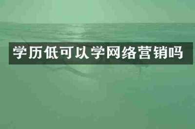 学历低可以学网络营销吗