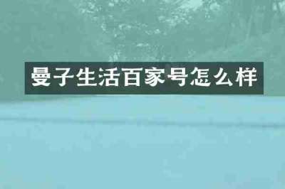 曼子生活百家号怎么样