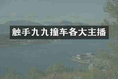 触手九九撞车各大主播
