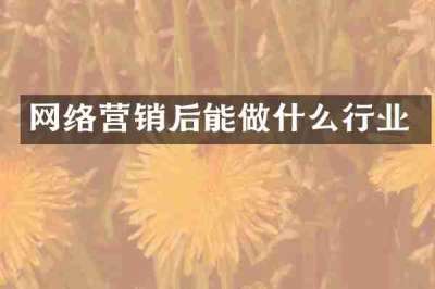 网络营销后能做什么行业