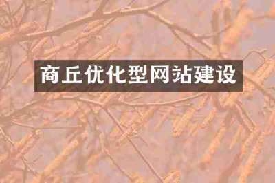 商丘优化型网站建设
