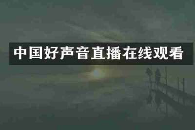 中国好声音直播在线观看