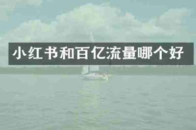 小红书和百亿流量哪个好