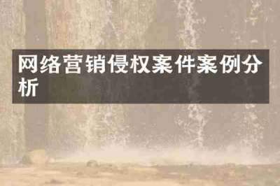 网络营销侵权案件案例分析