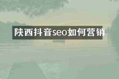 陕西抖音seo如何营销