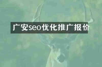 广安seo优化推广报价