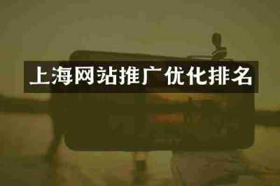 上海网站推广优化排名