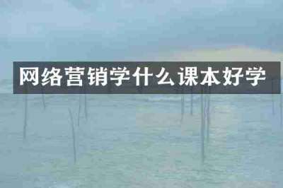 网络营销学什么课本好学