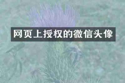 网页上授权的微信头像