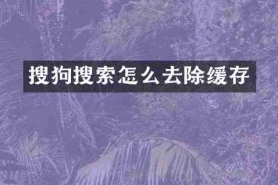 搜狗搜索怎么去除缓存