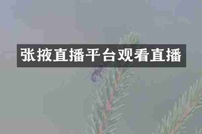 张掖直播平台观看直播
