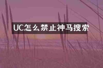 UC怎么禁止神马搜索