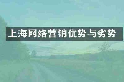 上海网络营销优势与劣势