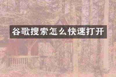 谷歌搜索怎么快速打开