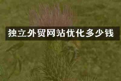 独立外贸网站优化多少钱