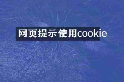 网页提示使用cookie
