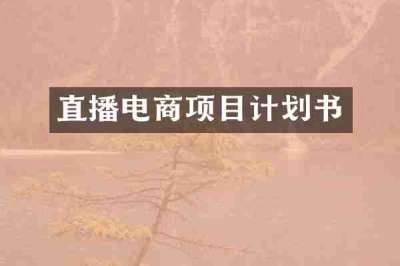 直播电商项目计划书