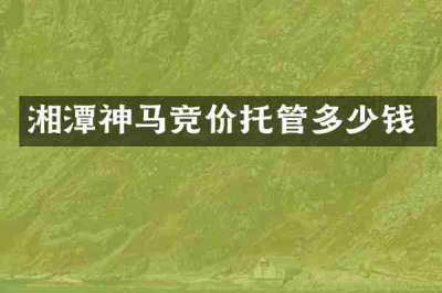 湘潭神马竞价托管多少钱