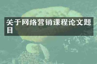 关于网络营销课程论文题目