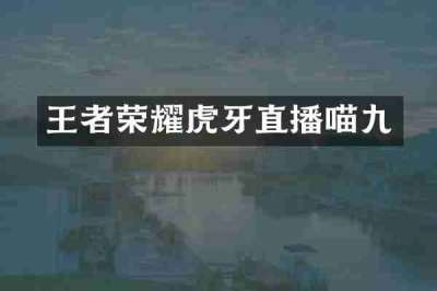 王者荣耀虎牙直播喵九