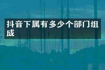 抖音下属有多少个部门组成