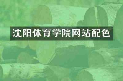 沈阳体育学院网站配色