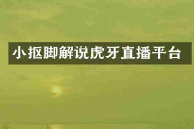 小抠脚解说虎牙直播平台