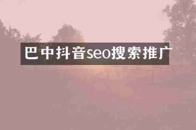 巴中抖音seo搜索推广