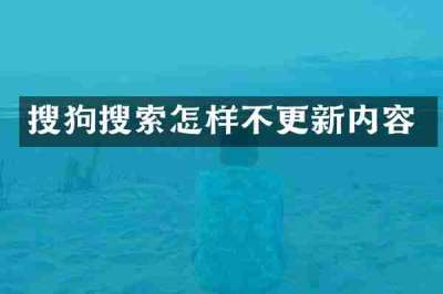 搜狗搜索怎样不更新内容