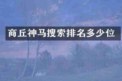 商丘神马搜索排名多少位