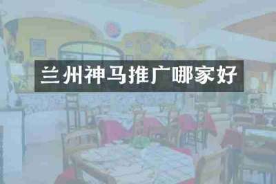 兰州神马推广哪家好