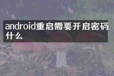 android重启需要开启密码是什么