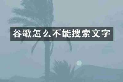 谷歌怎么不能搜索文字