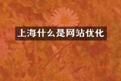上海什么是网站优化