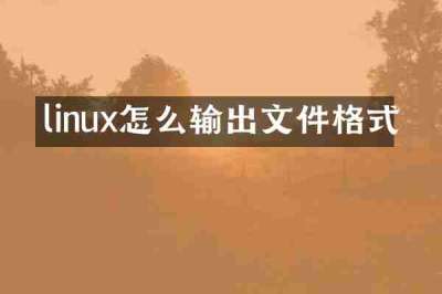linux怎么输出文件格式