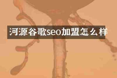 河源谷歌seo加盟怎么样