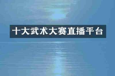 十大武术大赛直播平台