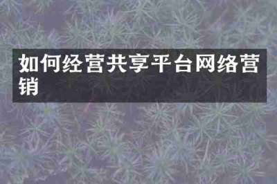 如何经营共享平台网络营销
