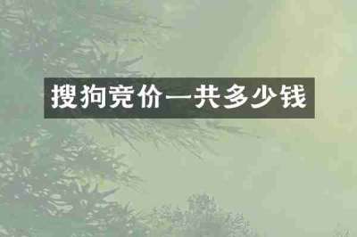 搜狗竞价一共多少钱