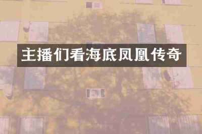 主播们看海底凤凰传奇