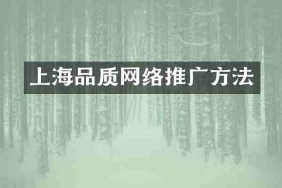 上海品质网络推广方法