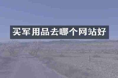 买军用品去哪个网站好