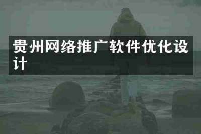 贵州网络推广软件优化设计