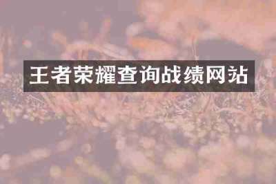 王者荣耀查询战绩网站