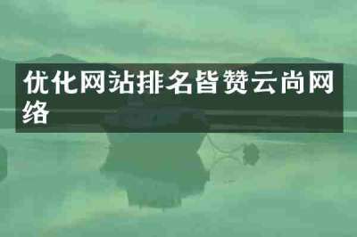 优化网站排名皆赞云尚网络